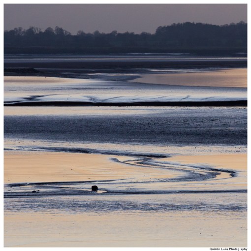 River Severn between Upper Framilode and Cam & Dursley