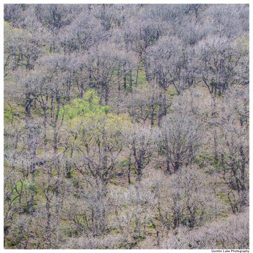 Doethie Valley, Wales