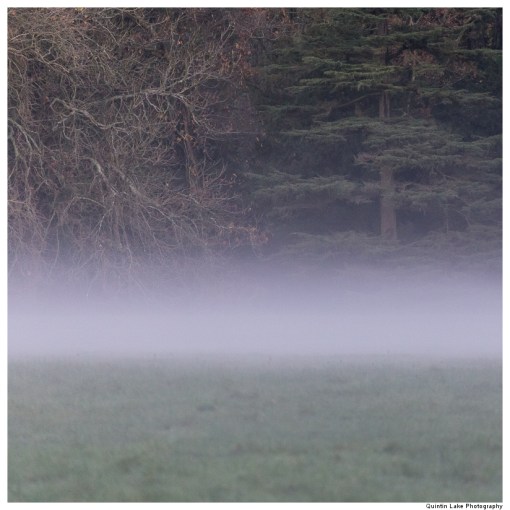 Divided Silence, Westonbirt Arboretum, England.