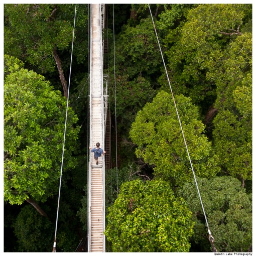 Ulu Temburong National Park, Brunei