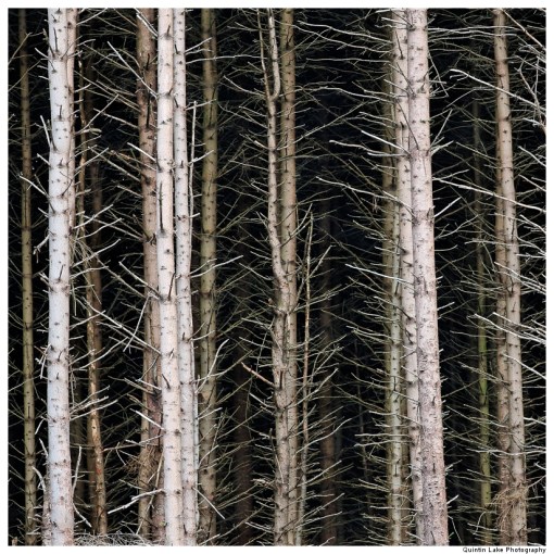 Laggangarn, Southern Uplands, Scotland