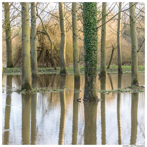 Severn Way. Shrewsbury to Ironbridge