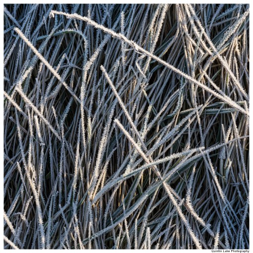 The Severn Way: Severn Bridge to Avonmouth