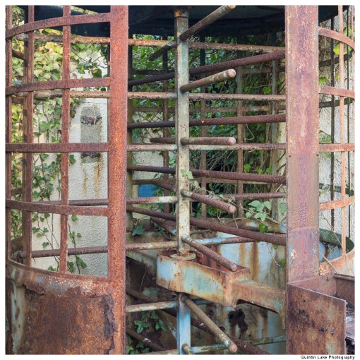 The Severn Way: Severn Bridge to Avonmouth