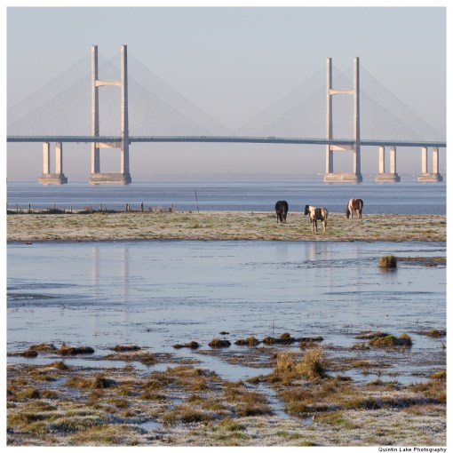 The Severn Way: Severn Bridge to Avonmouth