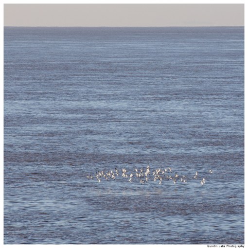 The Severn Way: Severn Bridge to Avonmouth
