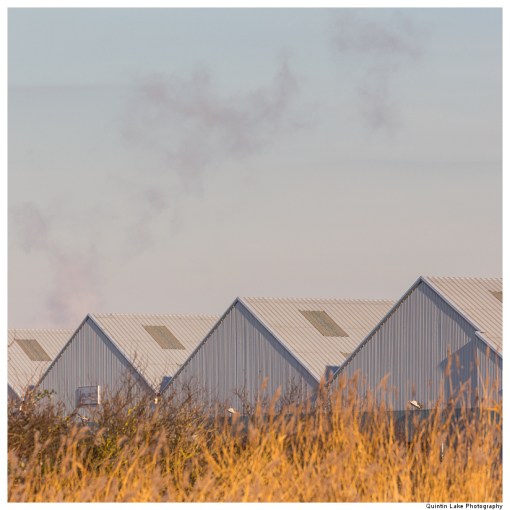 The Severn Way: Severn Bridge to Avonmouth