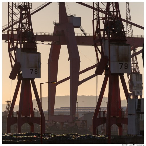 The Severn Way: Severn Bridge to Avonmouth