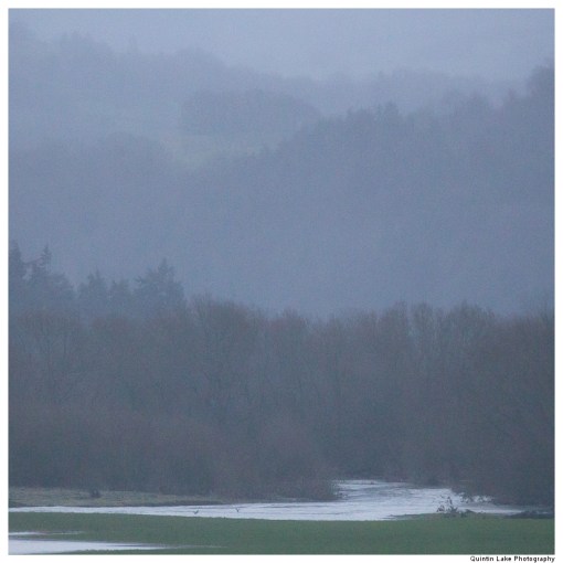 Severn Way: Caersws to Welshpool