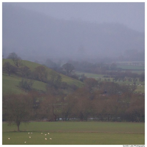 Severn Way: Caersws to Welshpool