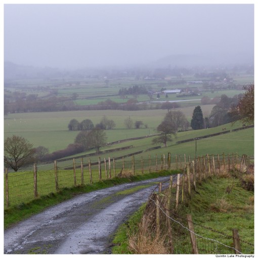 Severn Way: Caersws to Welshpool
