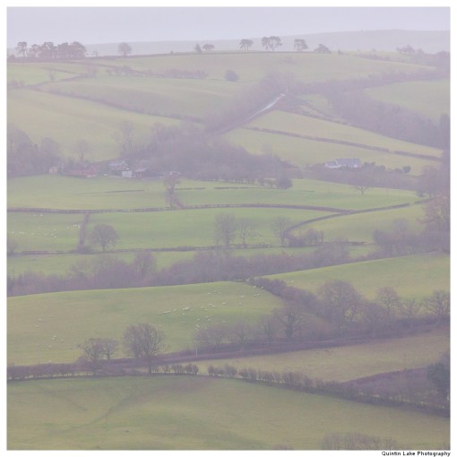 Severn Way: Caersws to Welshpool