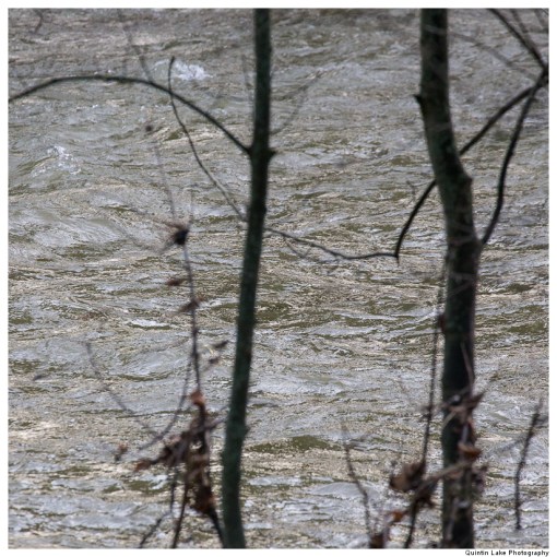 Severn Way: Caersws to Welshpool