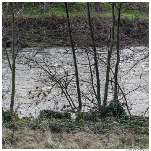 Severn Way: Caersws to Welshpool