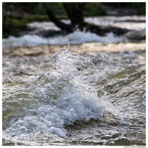 Severn Way: Caersws to Welshpool
