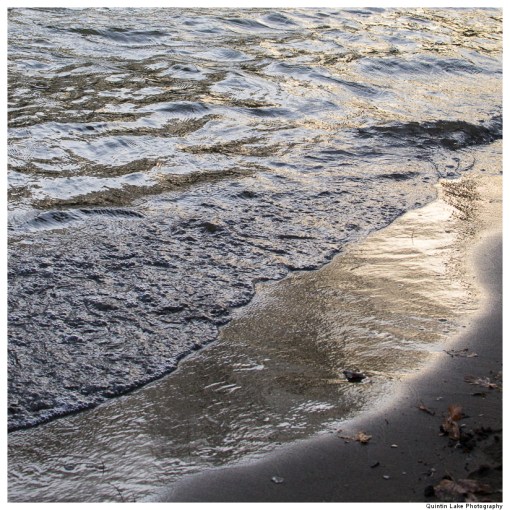 Severn Way: Caersws to Welshpool