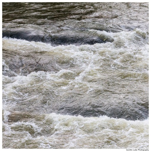 Severn Way: Caersws to Welshpool