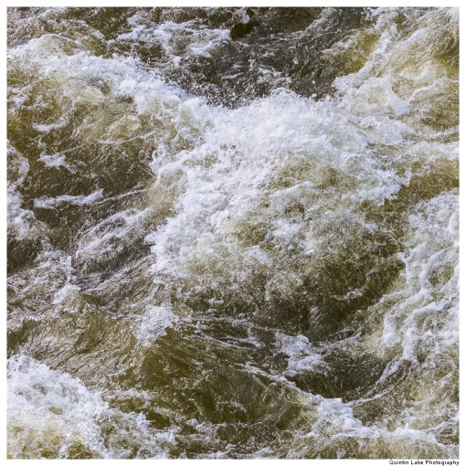 Severn Way: Caersws to Welshpool