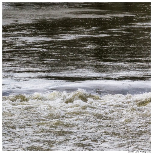 Severn Way: Caersws to Welshpool