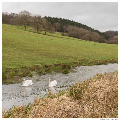 Severn Way: Caersws to Welshpool