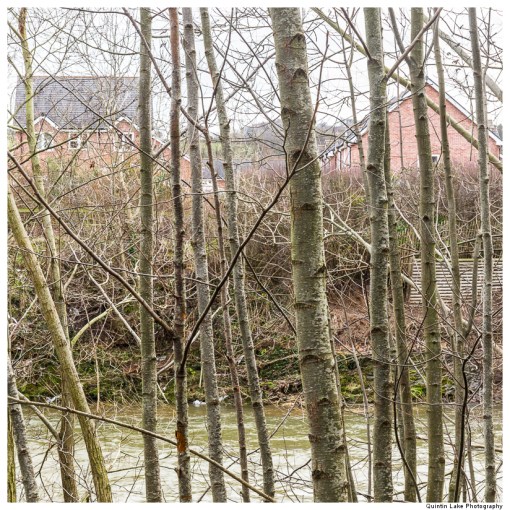 Severn Way: Caersws to Welshpool