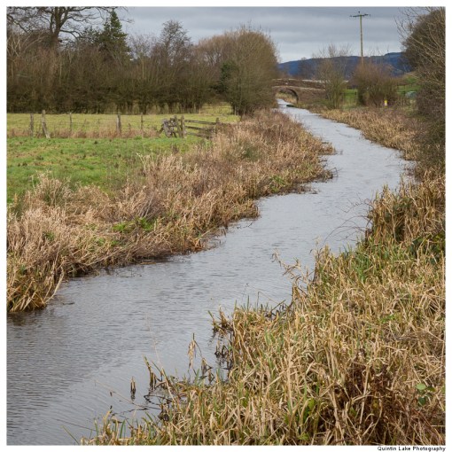 Severn Way: Caersws to Welshpool