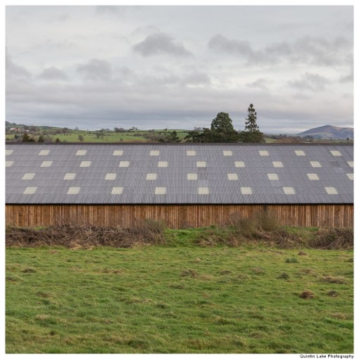 Severn Way: Caersws to Welshpool