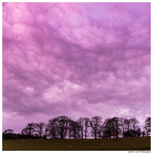 Severn Way: Caersws to Welshpool