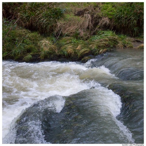 Severn Way: Hafren Forest to Caerswys