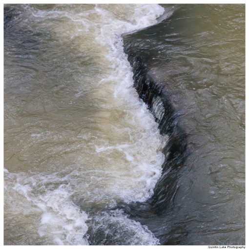 Severn Way: Hafren Forest to Caerswys