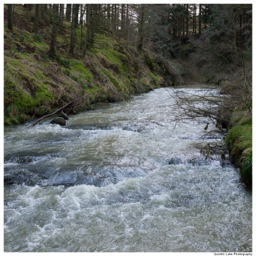 Severn Way: Hafren Forest to Caerswys