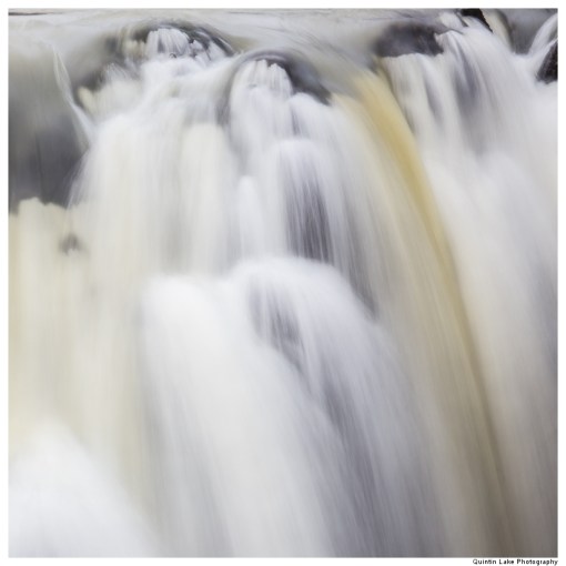 Severn Way: Hafren Forest to Caerswys