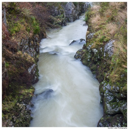 Severn Way: Hafren Forest to Caerswys
