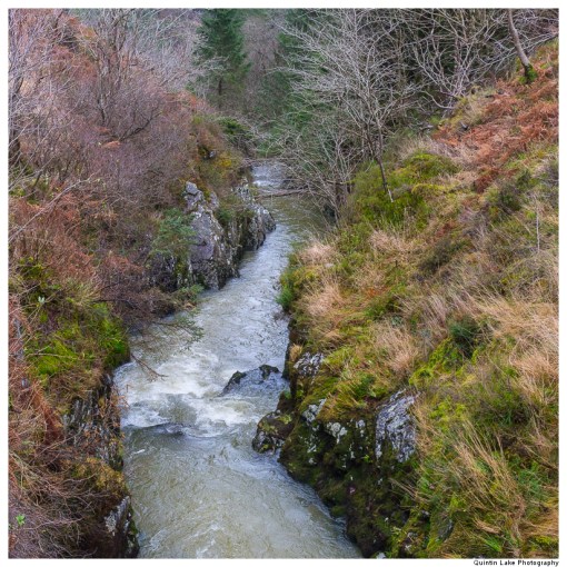 Severn Way: Hafren Forest to Caerswys