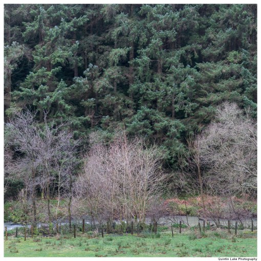 Severn Way: Hafren Forest to Caerswys