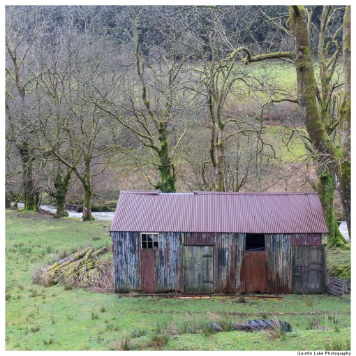 Severn Way: Hafren Forest to Caerswys