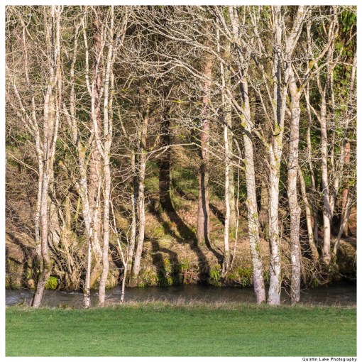 Severn Way: Hafren Forest to Caerswys