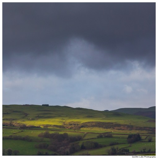 Severn Way: Hafren Forest to Caerswys