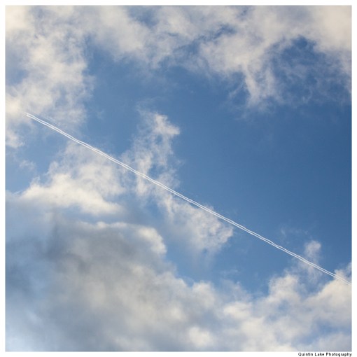 Severn Way: Hafren Forest to Caerswys