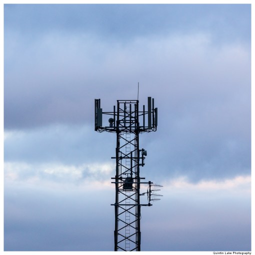 Severn Way: Hafren Forest to Caerswys