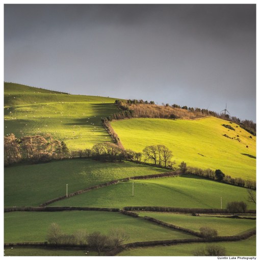 Severn Way: Hafren Forest to Caerswys