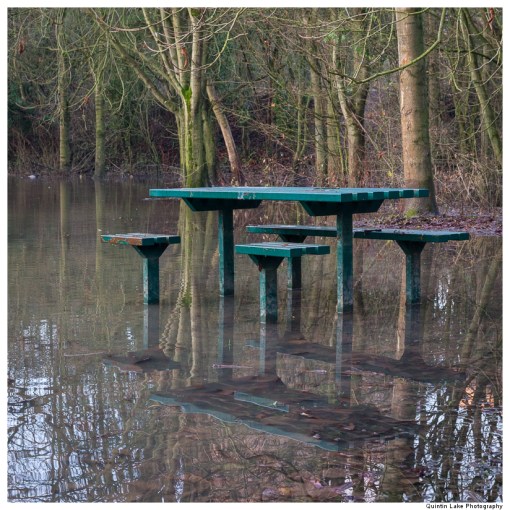 Severn Way. Ironbridge to Upper Arley