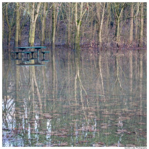 Severn Way. Ironbridge to Upper Arley