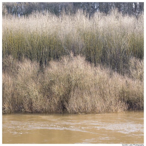 Severn Way. Ironbridge to Upper Arley