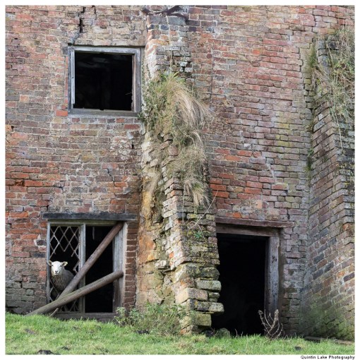 Severn Way. Ironbridge to Upper Arley