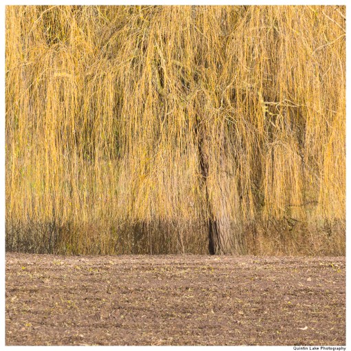 Severn Way. Ironbridge to Upper Arley