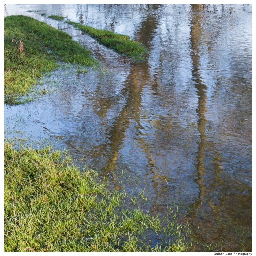 Severn Way. Shrewsbury to Ironbridge