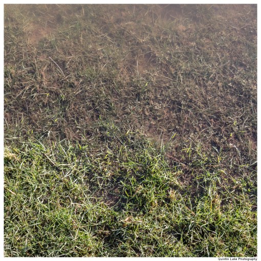 Severn Way. Shrewsbury to Ironbridge