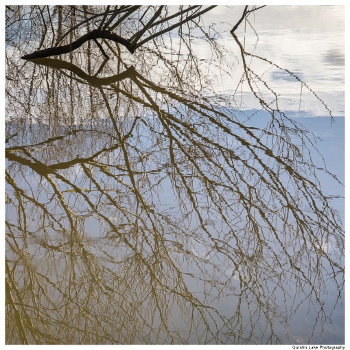 Severn Way. Shrewsbury to Ironbridge