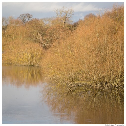 Severn Way. Shrewsbury to Ironbridge